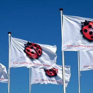 Vlag (groot)